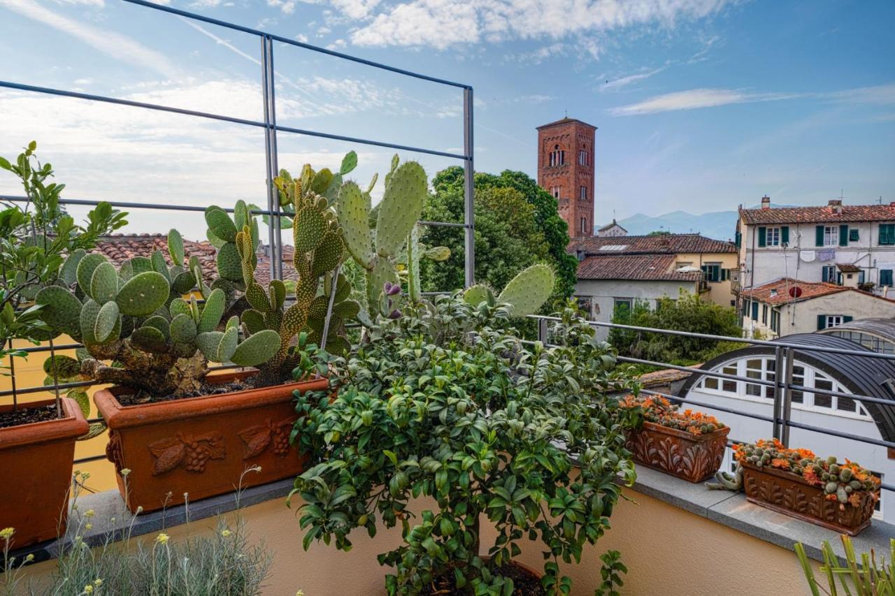My Guesthouse Lucca Dış mekan fotoğraf